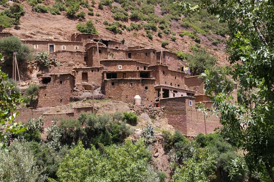 Agadir or Taghazout: Paradise Valley & Atlas Mountains Trip - Cold pools, cliffs, and limited time
