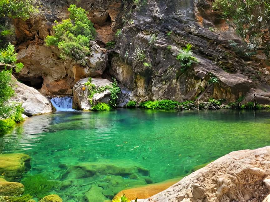 Agadir or Taghazout: Paradise Valley with Lunch & Transfers - From Agadir to the Atlas foothills