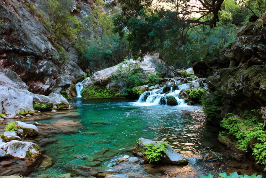 Agadir or Taghazout: Paradise Valley with Lunch & Transfers - Reaching Paradise Valley and starting the walk
