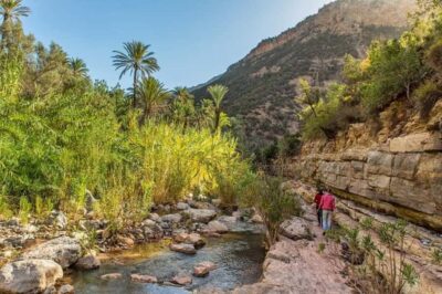 Paradise Valley & Desert Sand Dunes with Camel Ride