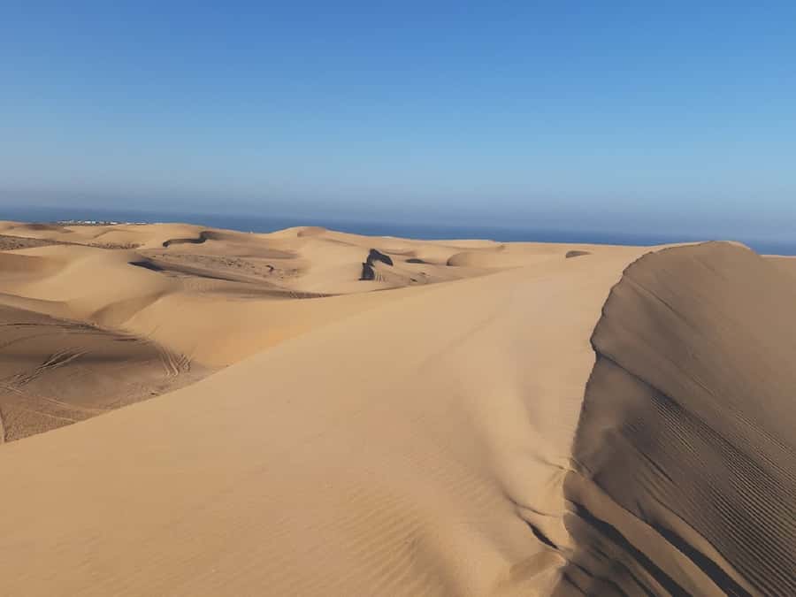 Agadir: Paradise Valley & Desert Sand Dunes with Camel Ride - Is $96 a fair price?