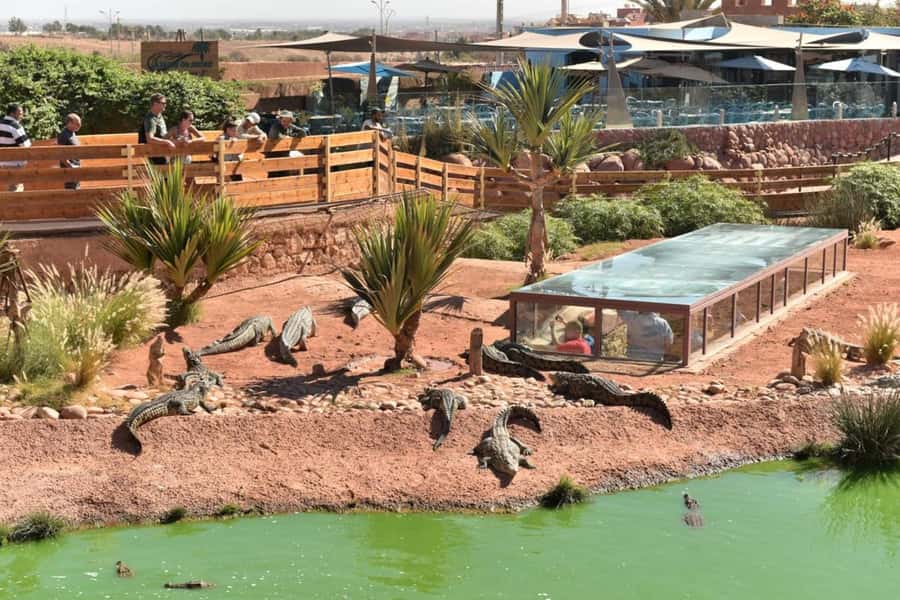Agadir: Quad Safari with Crocoparc Optional - Guides, language, and the human side