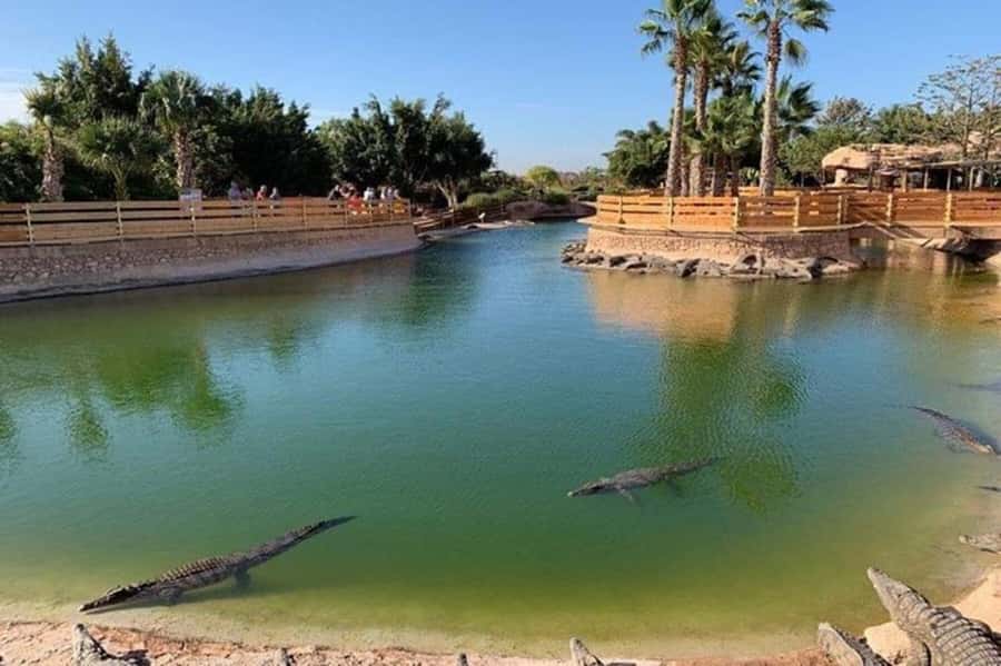 Agadir: Quad Safari with Crocoparc Optional - Why you should wear old clothes