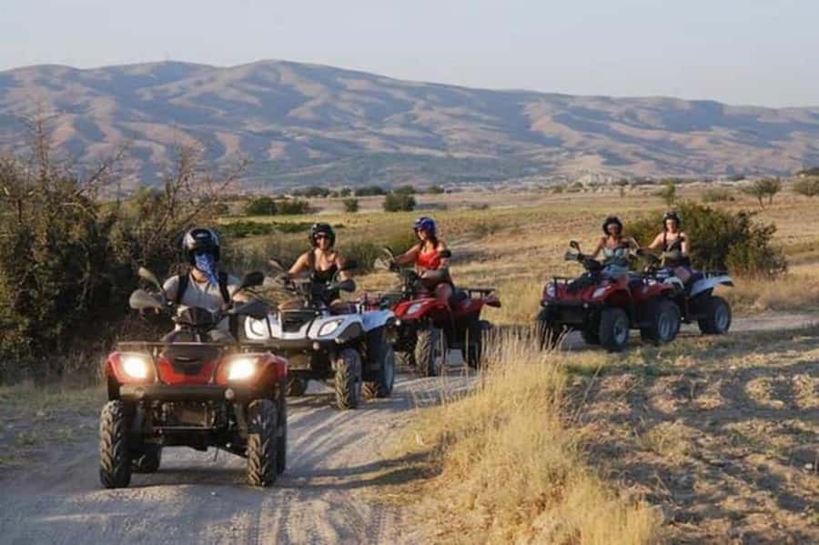 Agadir: Quad Safari with Crocoparc Optional - The goats in the argan trees