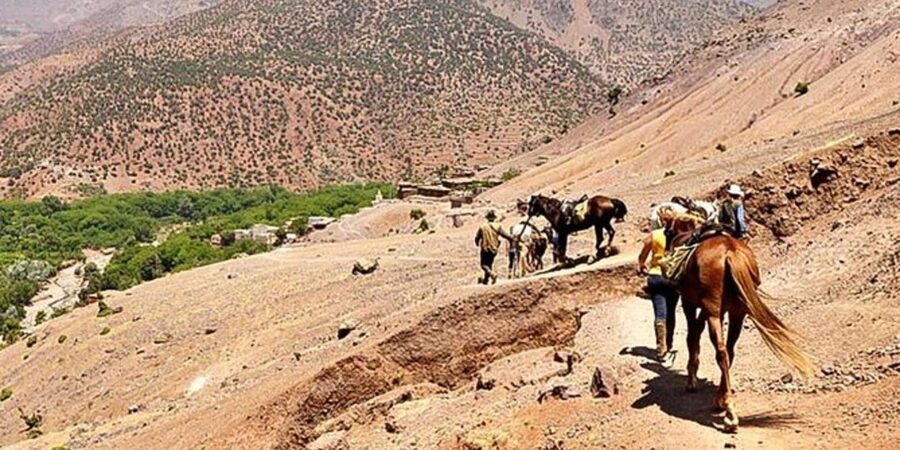 Agadir: Quad Safari with Crocoparc Optional - Adding Crocoparc after the ride
