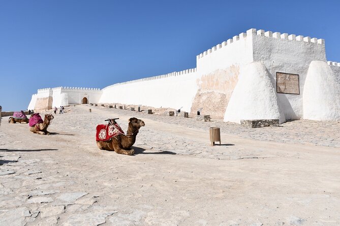 Agadir Sightseeing & Medina Polizzi Discovery - Coco Polizzi Medina: Agadir’s rebuilt old quarter