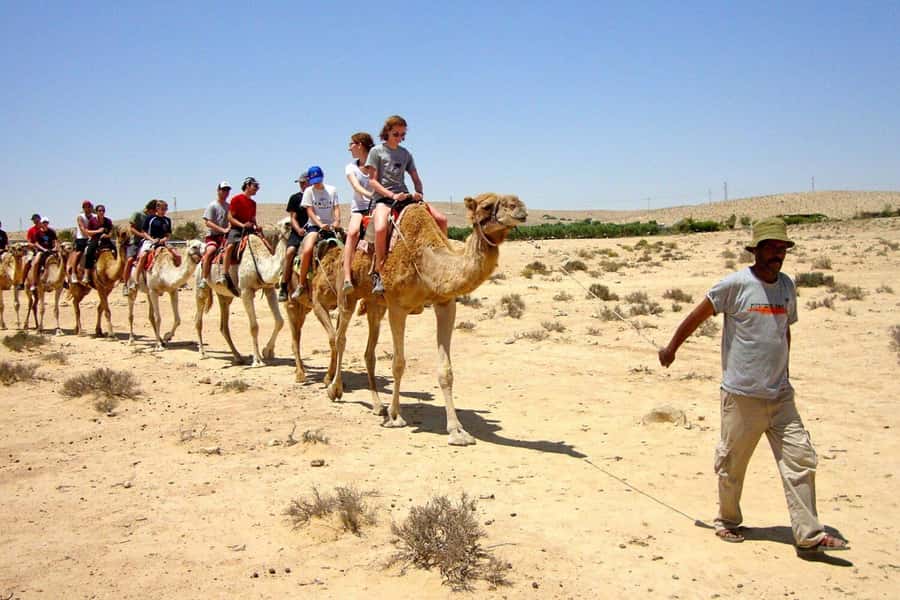 Agadir/Taghazout: Camel Ride with Tea Drink and Transfers - The tea stop adds a welcome Moroccan touch