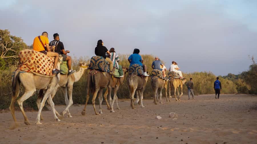 Agadir/Taghazout: Camel Ride with Tea Drink and Transfers - Is $21 a fair price?