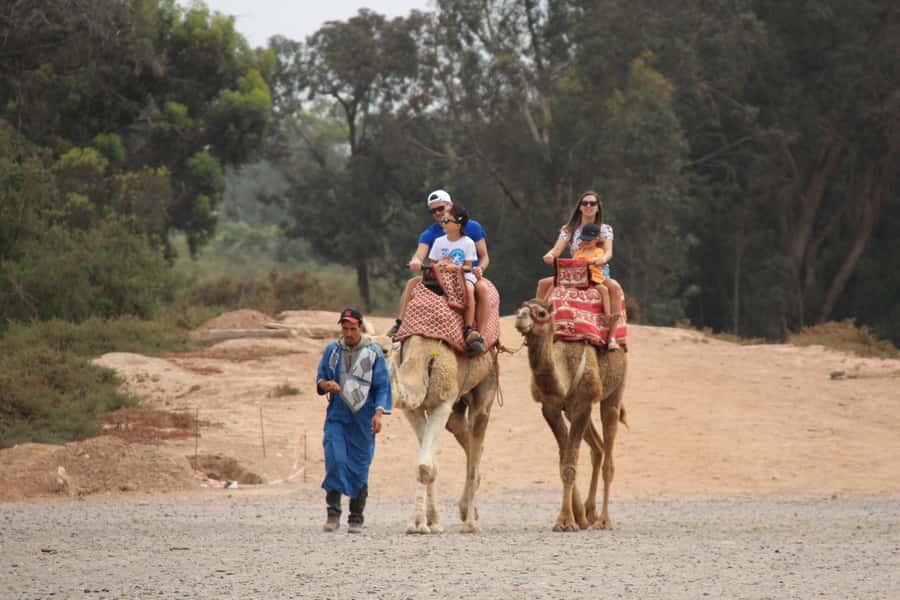 Agadir/Taghazout: Camel Ride with Tea Drink and Transfers - Who will enjoy this most?