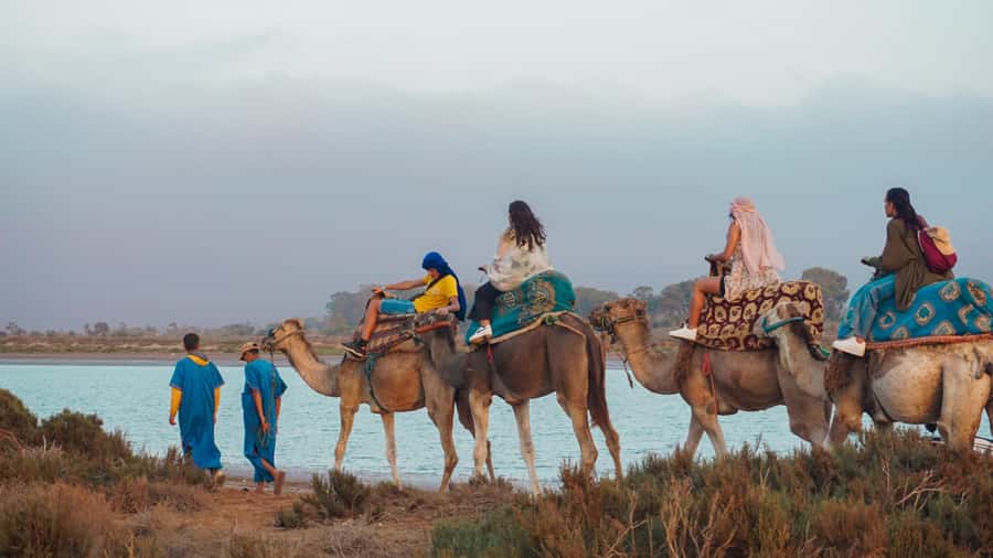 Agadir/Taghazout: Camel Ride with Tea Drink and Transfers - Hotel pickup makes a short outing easier