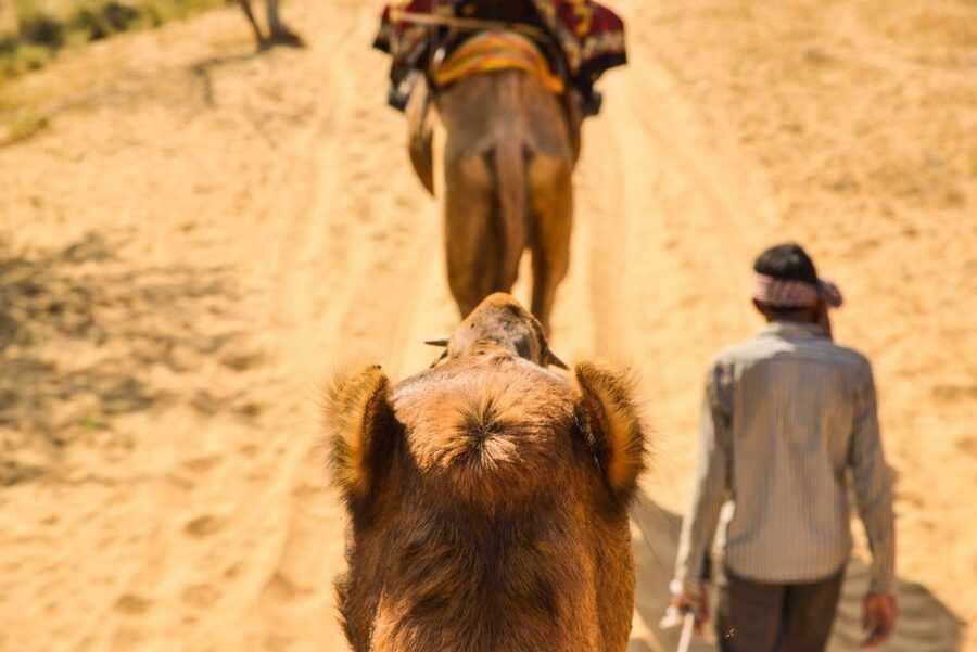Agadir/Taghazout: Camel Rides with Tea Drink and Transfers - Who should book this experience?