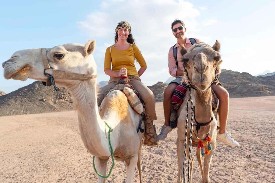 Agadir/Taghazout: Camel Rides with Tea Drink and Transfers - Why the later departure can be worth choosing