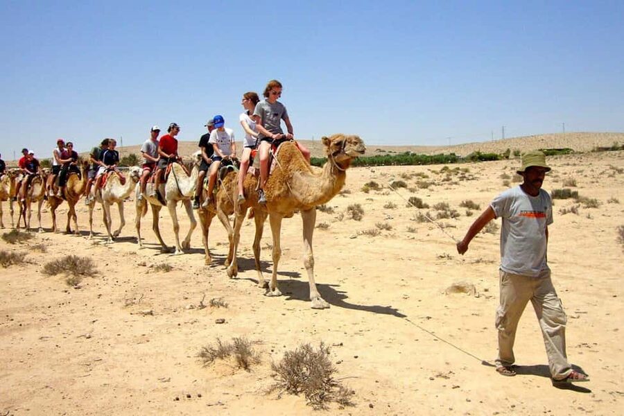 Agadir/Taghazout: Camel Rides with Tea Drink and Transfers - Mint tea, biscuits, and the relaxed finish