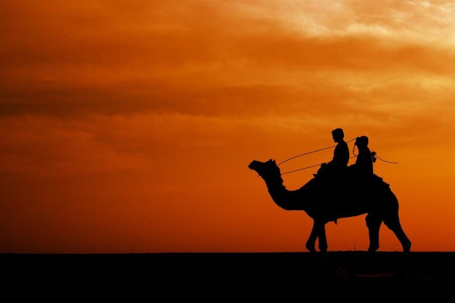 Agadir/Taghazout: Camel Rides with Tea Drink and Transfers - Animal welfare and what to look for