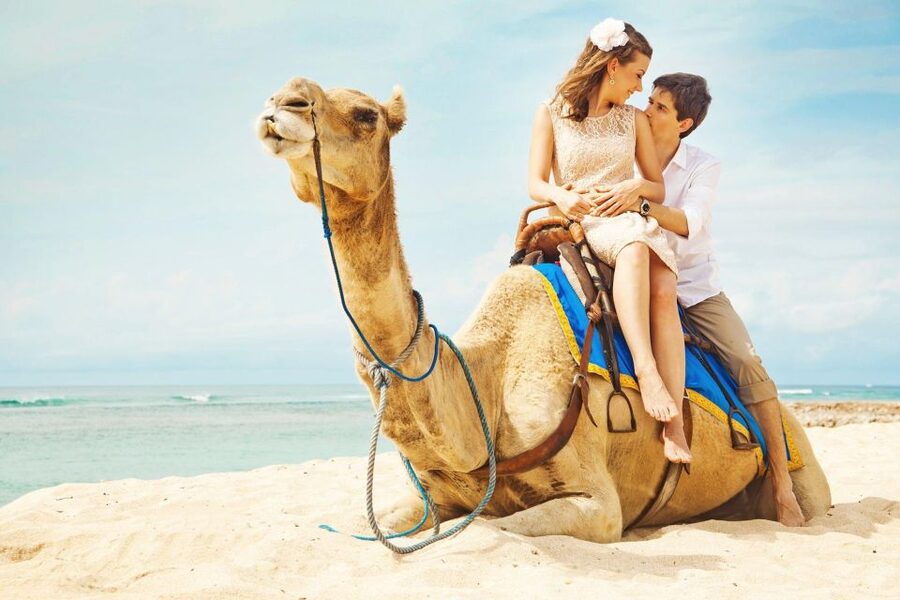 Agadir/Taghazout: Camel Rides with Tea Drink and Transfers - Is $22 good value?