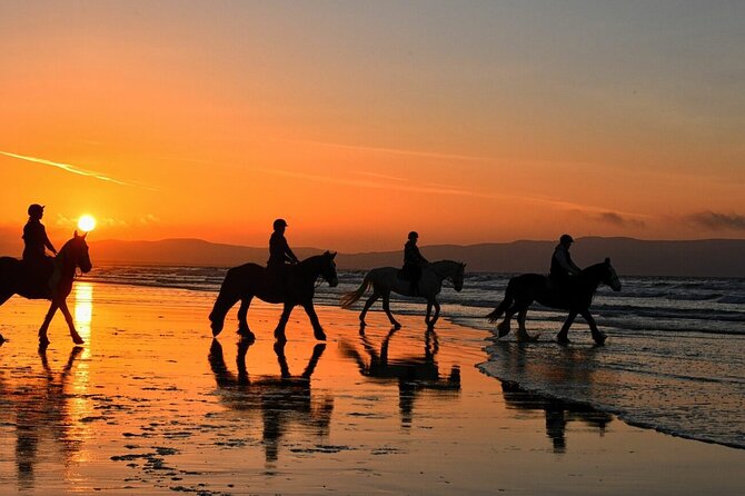 Agadir/Taghazout Horse Ride on the beach - From Agadir or Taghazout to the ranch