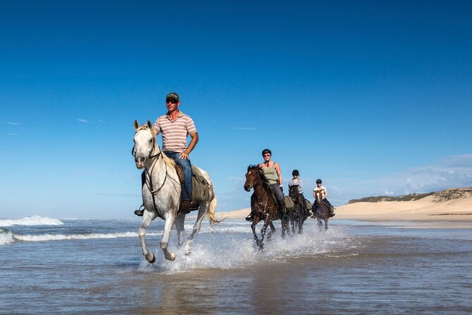 Agadir/Taghazout Horse Ride on the beach - Why sunset is the right time