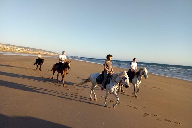 Agadir/Taghazout Horse Ride on the beach - Mint tea at the ranch