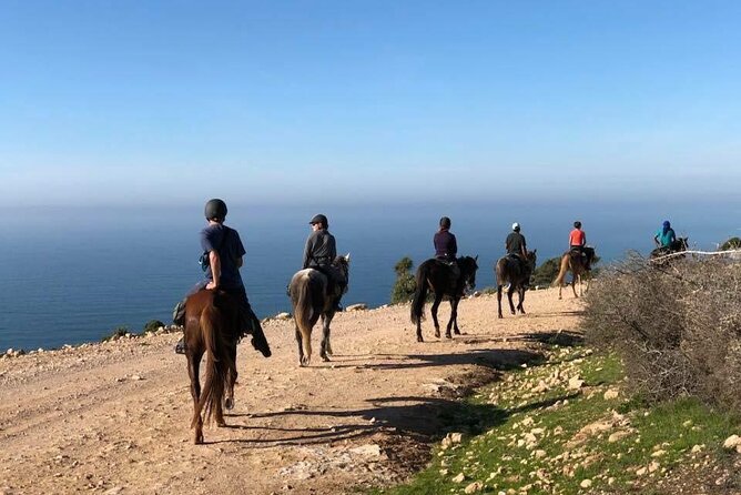 Agadir/Taghazout Horse Ride on the beach - Is $30.20 good value?