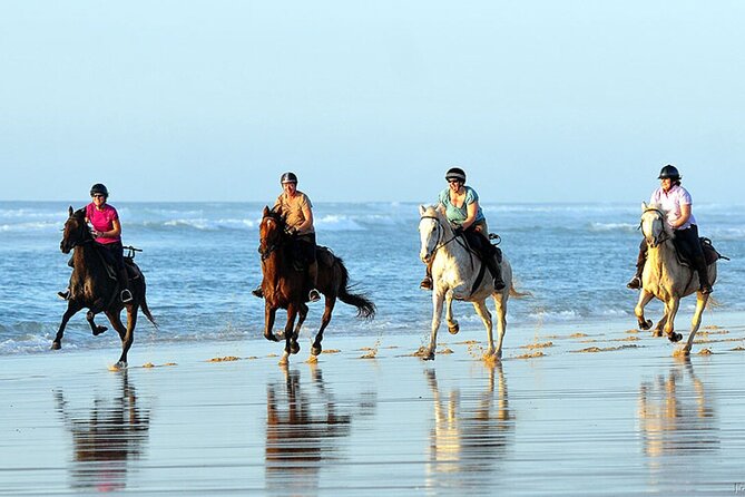 Agadir/Taghazout Horse Ride on the beach - Meeting the horses and choosing your pace