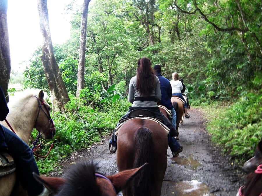 Agadir/Taghazout: Horse Rides Experience With Transfers - Key points to know before booking