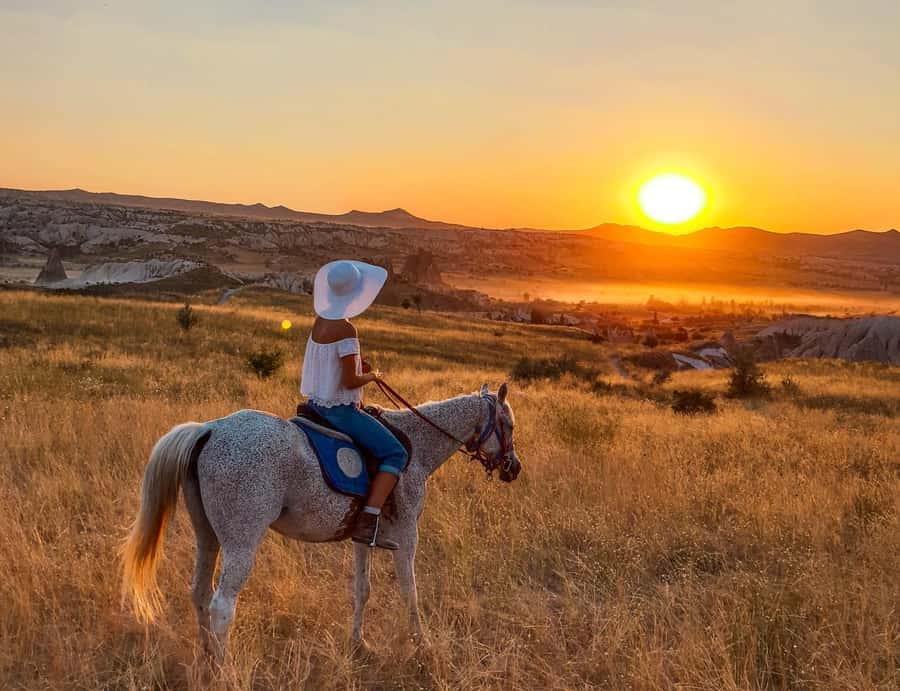 Agadir/Taghazout: Horse Rides Experience With Transfers - The first moments with your horse