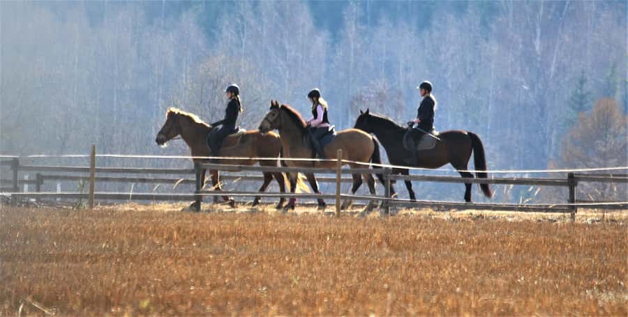 Agadir/Taghazout: Horse Rides Experience With Transfers - Along the river and open countryside