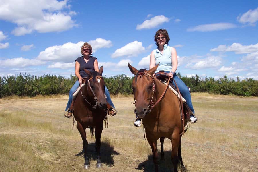 Agadir/Taghazout: Horse Rides Experience With Transfers - Practical tips for a better ride