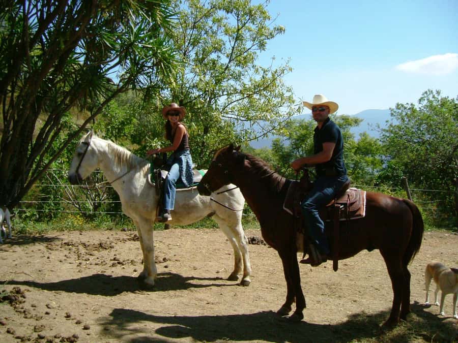 Agadir/Taghazout: Horse Rides Experience With Transfers - From hotel pickup to the riding area