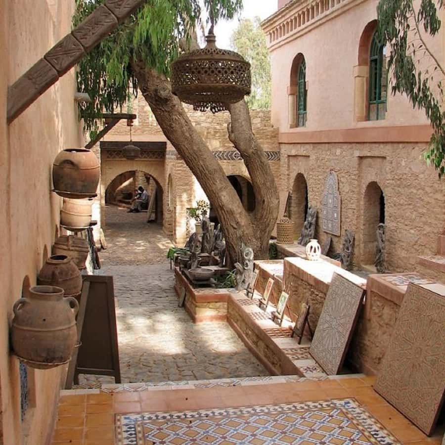 Agadir/Taghazout: Old Medina of Coco Polizzi and Agadir Tour - Guides, languages, and the value of a small group