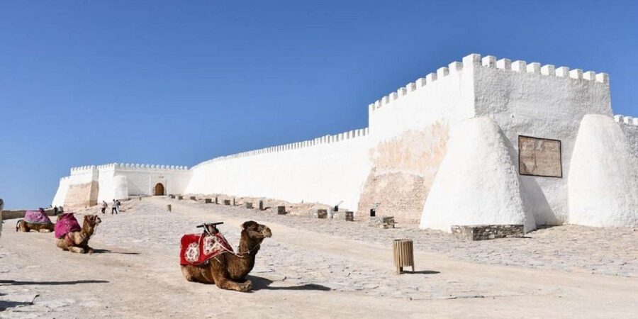 Agadir/Taghazout: Old Medina of Coco Polizzi and Agadir Tour - Who will get the most from this $22 outing?