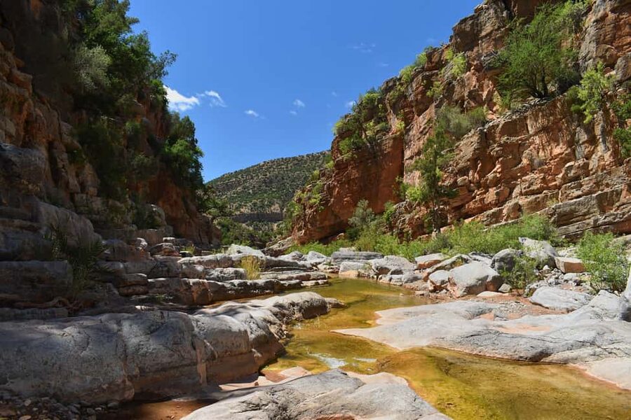 Agadir/Taghazout: Paradise Valley Atlas Mountains Trip - What the guides add to the experience