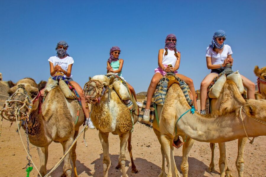 Agadir/Taghazout/Port: Camel Ride Tea & BBQ Option - Key points before you book