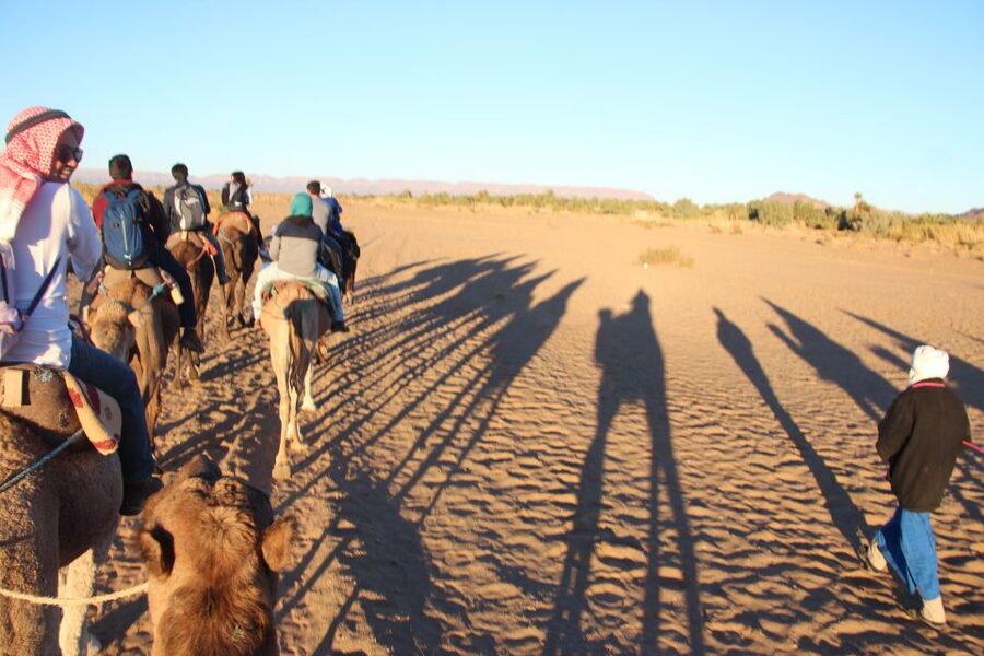 Agadir/Taghazout/Port: Camel Ride Tea & BBQ Option - Starting outside central Agadir