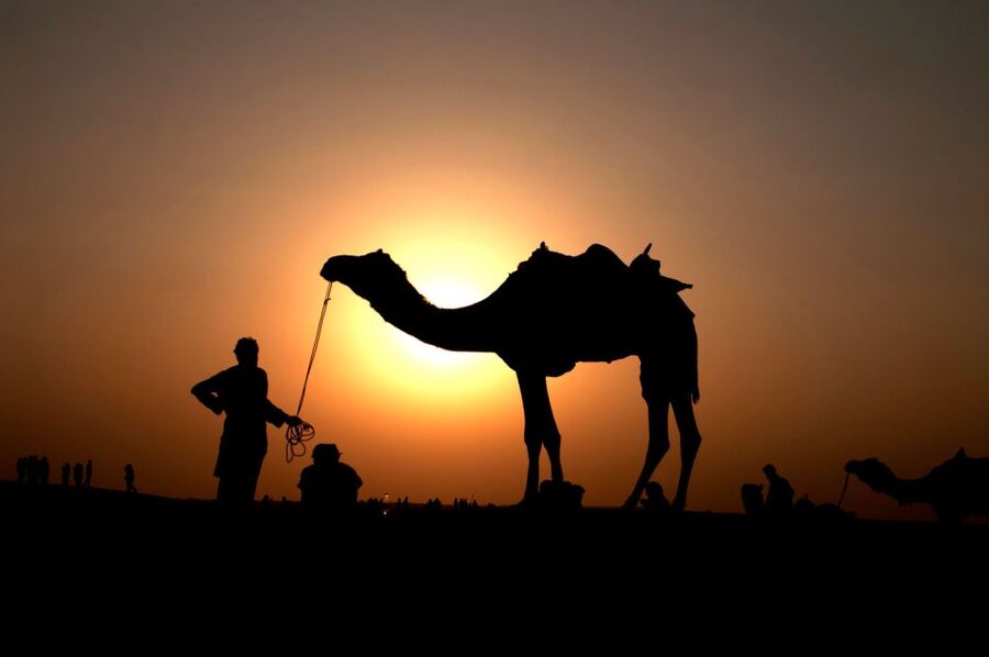 Agadir/Taghazout/Port: Camel Ride Tea & BBQ Option - Looking for flamingos at the Souss River