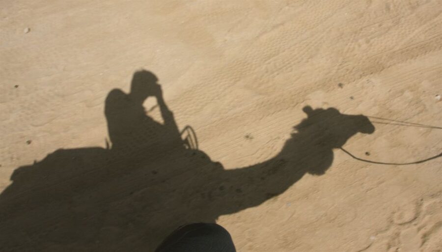 Agadir/Taghazout/Port: Camel Ride Tea & BBQ Option - A village route with local stories