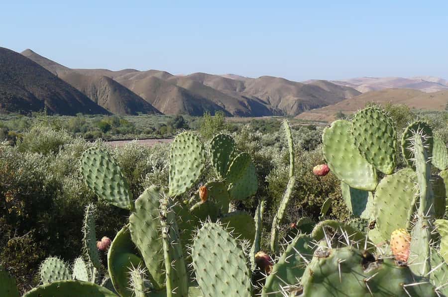 Agadir/Taghazout/Port: Paradise Valley Atlas Mountains Trip - Swimming, relaxing, and the option of a cliff jump