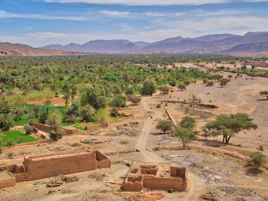 Agadir/Taghazout/Port: Paradise Valley Atlas Mountains Trip - Pickup details for Agadir, Taghazout, and the port