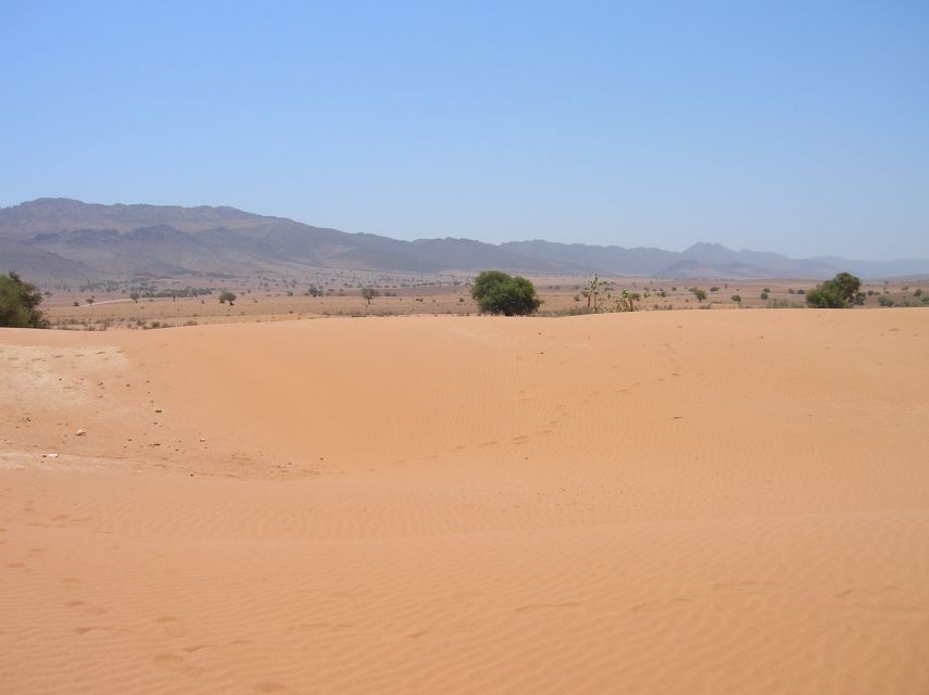 Agadir/Taghazout/Port: Sahara Desert 4x4 Day Trip with Lunch - How the guides shape the experience