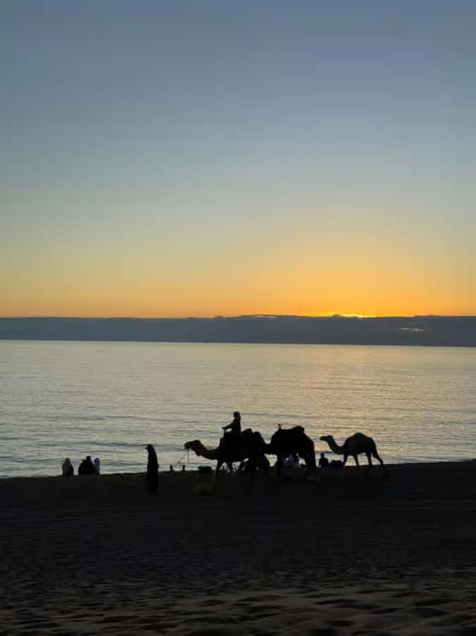 Agadir/Taghazout : Quad Bike & Camel Ride On The Beach - What the two-hour format gives you