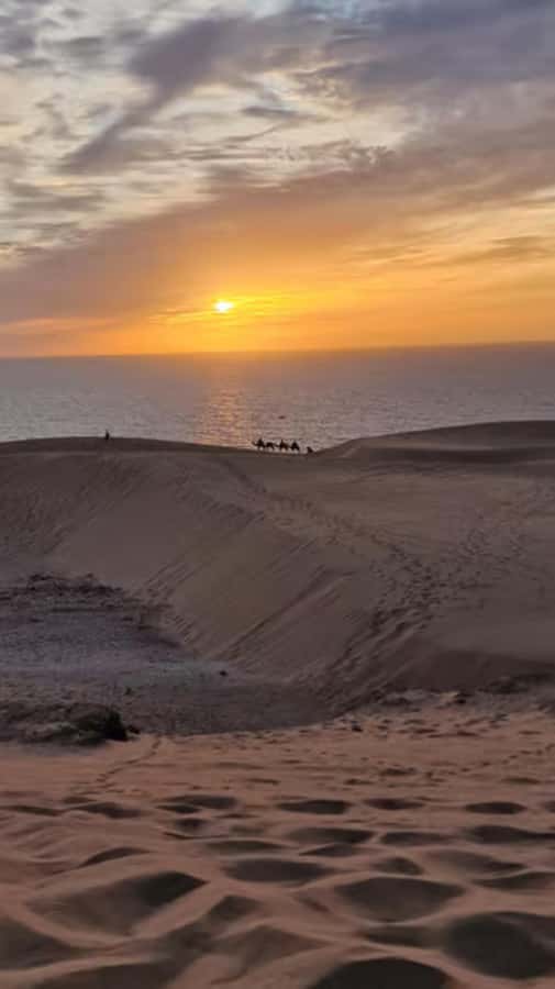 Agadir/Taghazout : Quad Bike & Camel Ride On The Beach - Is $68 a good price?