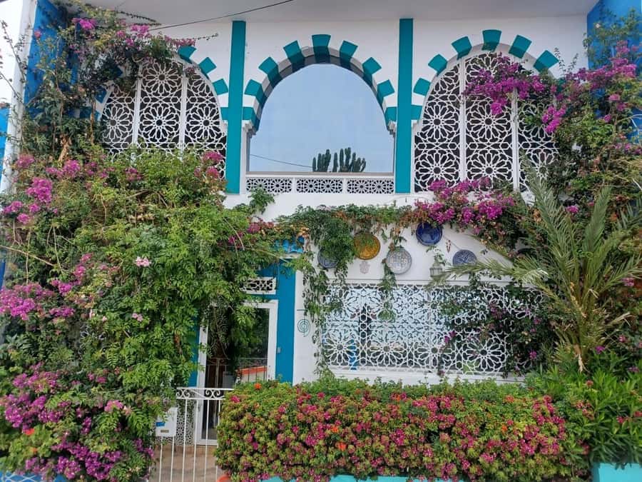 Agadir/Taghazout: Sandboarding & Visit of Canyons With Lunch - Why this five-hour trip works so well