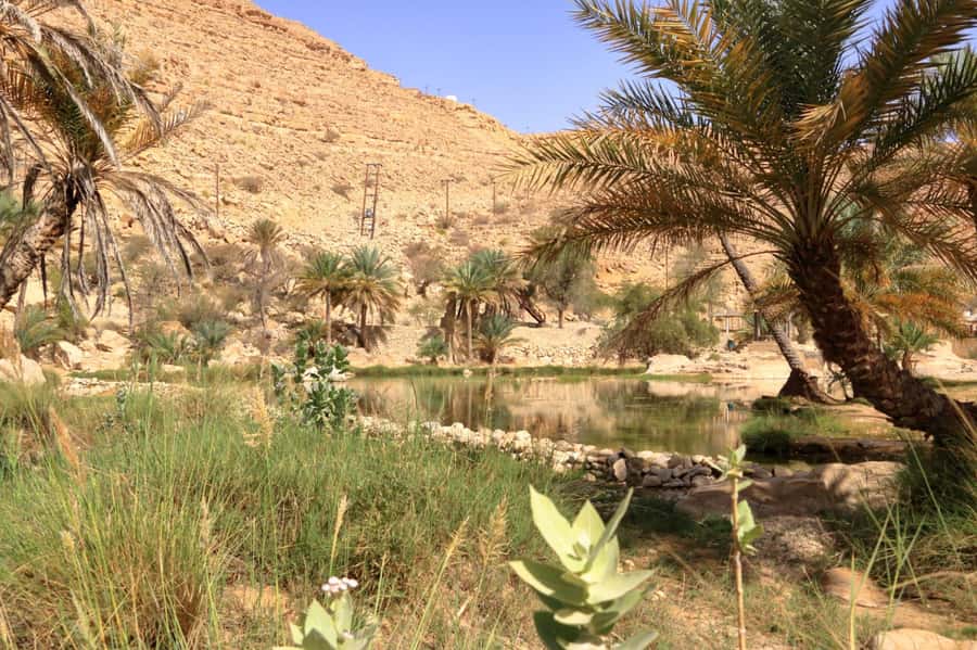 Agadir/Taghazout/Tamraght: Paradise Valley Best Tour - Practical tips for a better morning