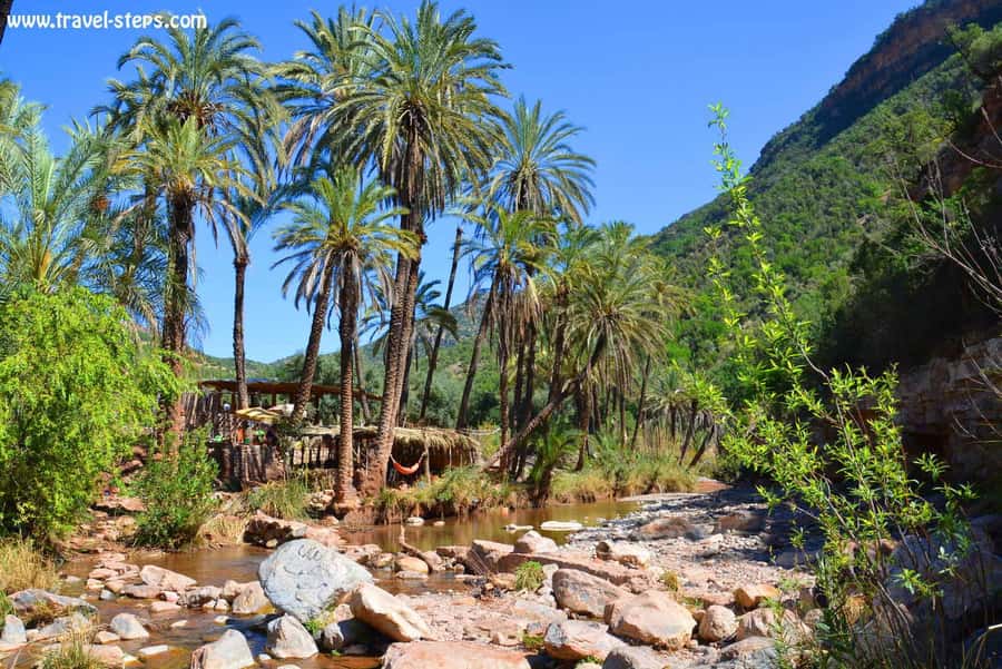 Agadir/Taghazout/Tamraght: Paradise Valley Best Tour - Leaving Agadir for the hills at 8:30 AM