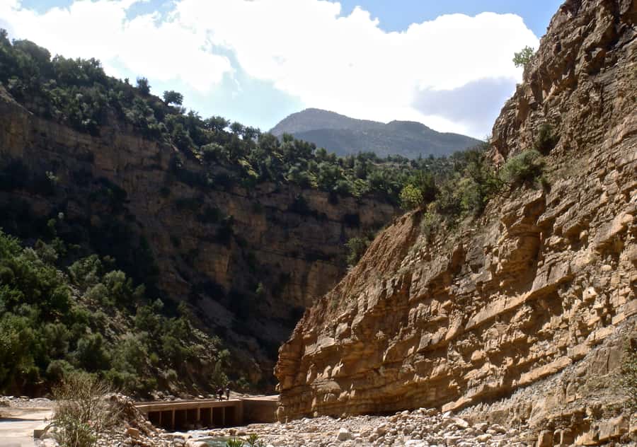 Agadir/Taghazout/Tamraght: Paradise Valley Best Tour - Who should book this trip?