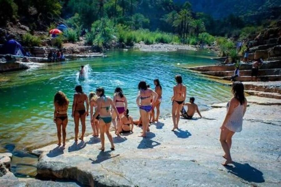 Agadir/Tamraght/Taghazout: Paradise Valley Atlas Tour - The botanical garden and local plant knowledge
