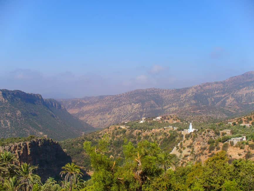 Agadir/Tamraght/Taghazout: Paradise Valley Atlas Tour - Swimming in Paradise Valley