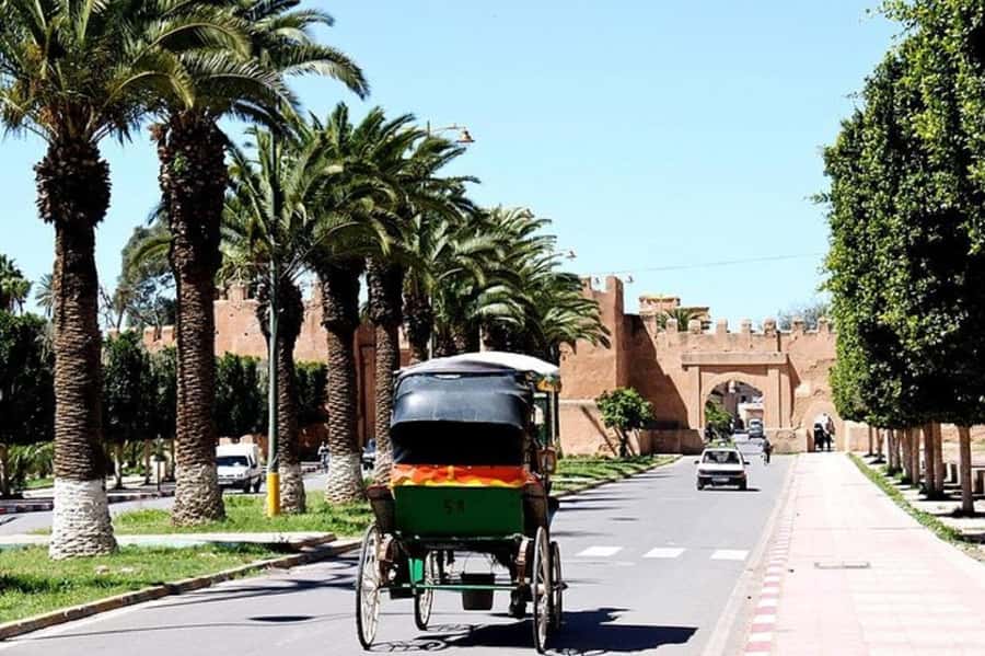 Agadir: Taroudant Oasis and Tiout Day Trip with Lunch Option - Booking details worth knowing