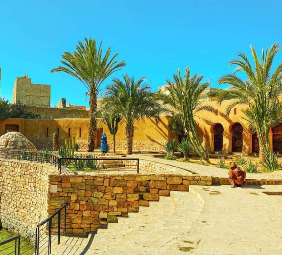 Agadir: Taroudant Oasis and Tiout Day Trip with Lunch Option - Tiout’s palm oasis and hilltop kasbah
