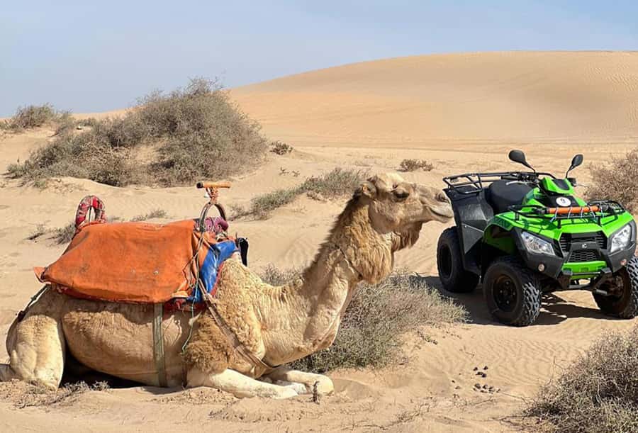 Agadir to Tifnit Desert: Quad Biking Tour with Sandboarding - Why the guide makes such a difference